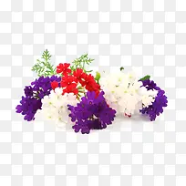 Âí±Þ²ÝÃâ·ÑÏÂÔØ-¿ÕÈôÍø Âí±Þ²ÝÃâ·ÑÏÂÔØ-¿ÕÈôÍø