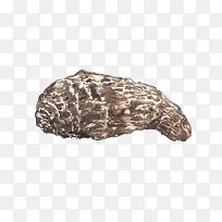 �ֻ���ͷ-������