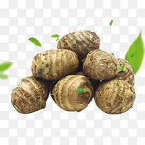 ȫ�Ҹ���ͷ�߲�-������