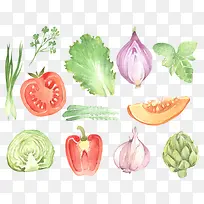 蔬菜-空若网 蔬菜-空若网