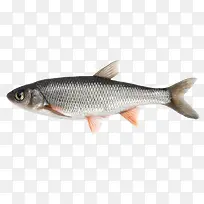 ���ʺ����������Ӱ-������