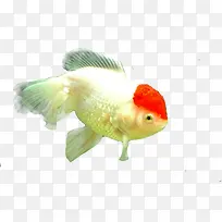 ������Ӱˮ���С����-������