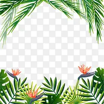 夏日小清新树叶边框-空若网 夏日小清新树叶边框-空若网