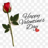 ���˽ڿ���-������