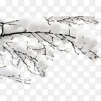 雪落枝头-空若网 雪落枝头-空若网