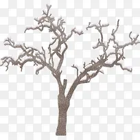 冰雪覆盖树枝-空若网 冰雪覆盖树枝-空若网