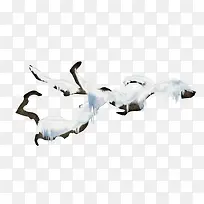 ±ùÑ©¸²¸ÇÊ÷Ö¦-¿ÕÈôÍø ±ùÑ©¸²¸ÇÊ÷Ö¦-¿ÕÈôÍø