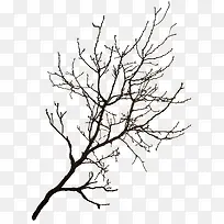 冰雪覆盖树枝-空若网 冰雪覆盖树枝-空若网