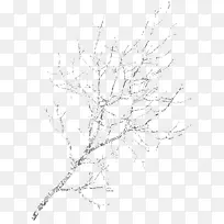 ��ѩ������֦-������