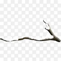 冰雪覆盖树枝-空若网 冰雪覆盖树枝-空若网