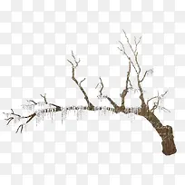 冰雪覆盖树枝-空若网 冰雪覆盖树枝-空若网
