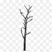 ��ѩ������֦-������