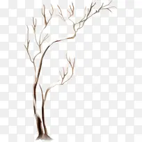 冰雪覆盖树枝-空若网 冰雪覆盖树枝-空若网