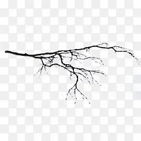 ��ѩ������֦-������