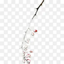 ��ѩ������֦-������