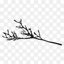 冰雪覆盖树枝-空若网 冰雪覆盖树枝-空若网