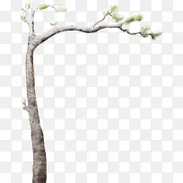 冰雪覆盖树枝-空若网 冰雪覆盖树枝-空若网