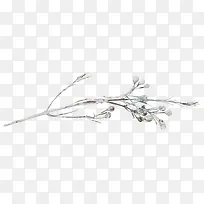 冰雪覆盖树枝-空若网 冰雪覆盖树枝-空若网