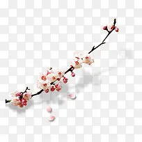 树枝-空若网 树枝-空若网