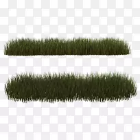 草坪草画片艺术-旱地-空若网 草坪草画片艺术-旱地-空若网