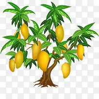 芒果树-空若网 芒果树-空若网