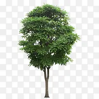 â���� �̻�â-������