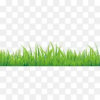 绿色手绘小草边框纹理-空若网 绿色手绘小草边框纹理-空若网
