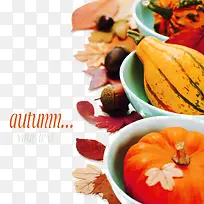 创意南瓜叶子背景-空若网 创意南瓜叶子背景-空若网