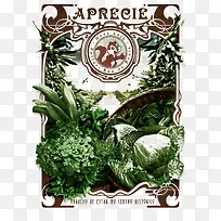 Ҷ���߲˱�������-������