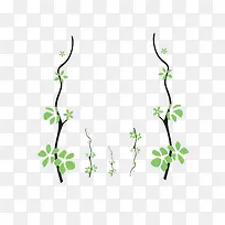 小清新植物-空若网 小清新植物-空若网