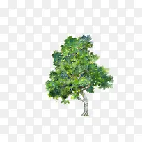 ��-������