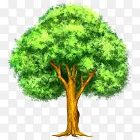 �ʻ���-������