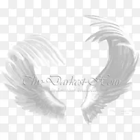 翅膀天使剪贴画-天使翅膀-空若网 翅膀天使剪贴画-天使翅膀-空若网