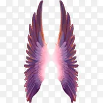 翅膀蓝色渐变白色翅膀-空若网 翅膀蓝色渐变白色翅膀-空若网