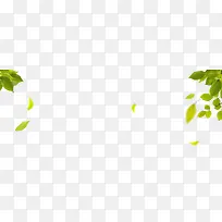 绿色树枝叶子漂浮装饰图案-空若网 绿色树枝叶子漂浮装饰图案-空若网