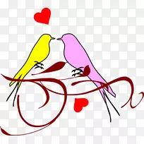 ������������뺯������-�ۺ���-������