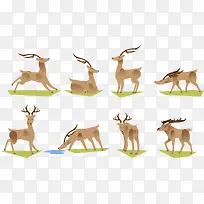 ��ͨС¹�Բ�-������