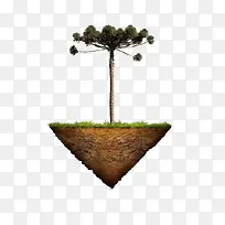 小树-空若网 小树-空若网