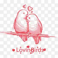 相互依偎的小鸟-空若网 相互依偎的小鸟-空若网