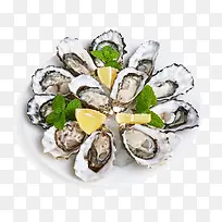 һ�����-������