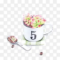 数字五的杯子里的多肉植物-空若网 数字五的杯子里的多肉植物-空若网