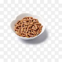 巴西松子免抠素材-空若网 巴西松子免抠素材-空若网