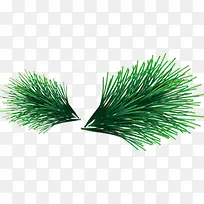 ��֦-������