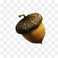 高清黄色松子食物-空若网 高清黄色松子食物-空若网