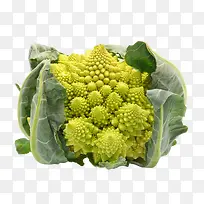 ¿É°®µÄ±¦Ëþ²Ë-¿ÕÈôÍø ¿É°®µÄ±¦Ëþ²Ë-¿ÕÈôÍø