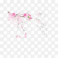 粉色梅花-空若网 粉色梅花-空若网