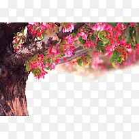 һ��ľ�޻���-������