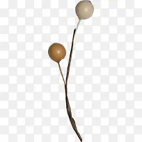 圣诞节装饰树枝素材-空若网 圣诞节装饰树枝素材-空若网