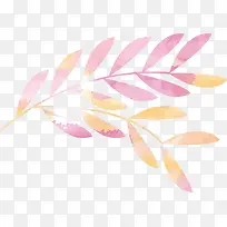 ·Ûɫˮ²ÊÃÀÀöÊ÷Ö¦-¿ÕÈôÍø ·Ûɫˮ²ÊÃÀÀöÊ÷Ö¦-¿ÕÈôÍø