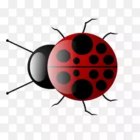 ����ư���ͼ-������